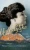 Unladylike (Hardback)
