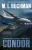 Condor: a political technothriller