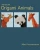 Advanced Origami Animals (Paperback)