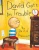 David Gets In Trouble (David Books [Shannon])