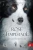 Rose na Tempestade (Portuguese Edition)