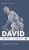 David - 9781532631498