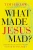What Made Jesus Mad?: Rediscover the Blunt, Sarcastic, Passionate Savior of the Bible