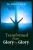 Transformed From Glory To Glory