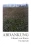 Abdankung: Ein Bericht (German Edition) - 9783347084377