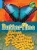 Butterflies (Life Cycles And Traits)