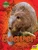 Beaver (Backyard Animals)