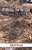 Walking The Arroyo