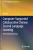 Computer-Supported Collaborative Chinese Second Language Learning: Beyond Brainstorming (Chinese Language Learning Sciences) - Paperback