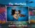 The MerBabe - Hardcover