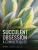 Succulent Obsession: A Complete Guide