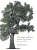 The Story of Trees: And How They Changed the World