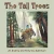 The Tall Trees: An Andrew and Feelo Eco Adventure