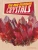 Dig And Discover Crystals (Rock Your World)