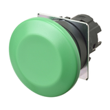 A22NZ-BMM-NGA (665233)