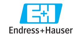 Endress + Hauser - PMP131-A1101A1X CEREBAR, ISO4400 PLUG, G1/2' PROCESS CONNECTION, 0-40BAR