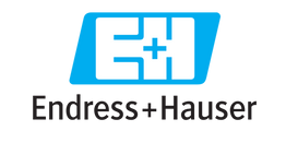 Endress + Hauser - FTL325P-F1E1 NIVOTESTER