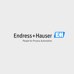 Endress+Hauser 55001563 minidis 5V 4-20mA