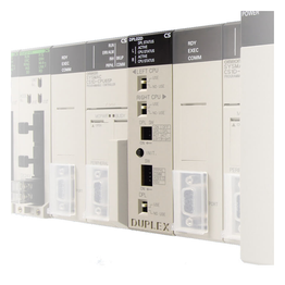 CS1D-DPL02D (236901)