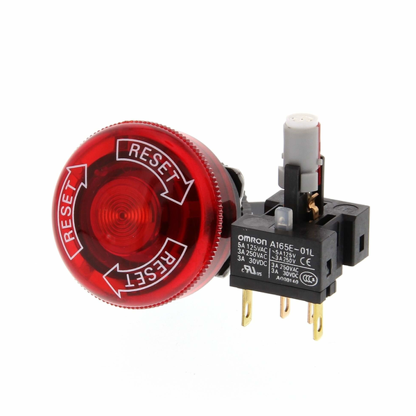 A165E-LS-24D-02 (103317)