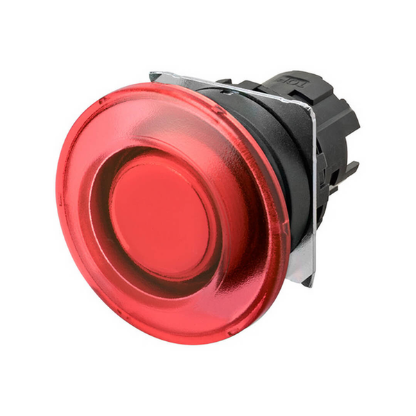 A22NZ-BMM-TRA (665926)