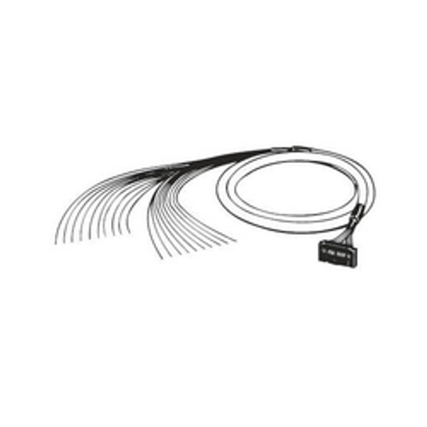 XW2Z-0300DM-L (377651)