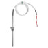 Endress+Hauser TST310-A7A9Y9A8C1A-55000444-RTD-Thermometer-TST310 TST310 RTD thermometer, temperature cable probe