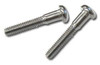 1964-72 1" Chrome Lens Screws (Pr.)