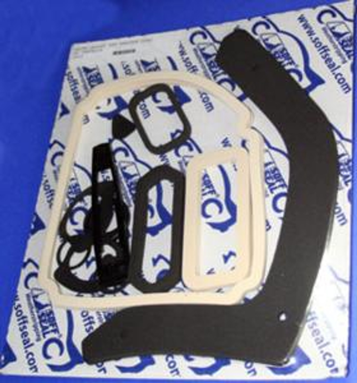 1969 Paint Gasket Kit