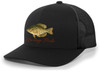 Freshwater Fish Collection Crappie Fishing Trucker