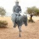 77-1018 Cowboy on horse #4 very detailed 3D printed O Scale