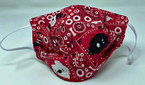 Adult Face Mask Red Bandanna Print Adjustable