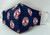 Adult Red Sox Face Mask Washable Reusable Double Cotton