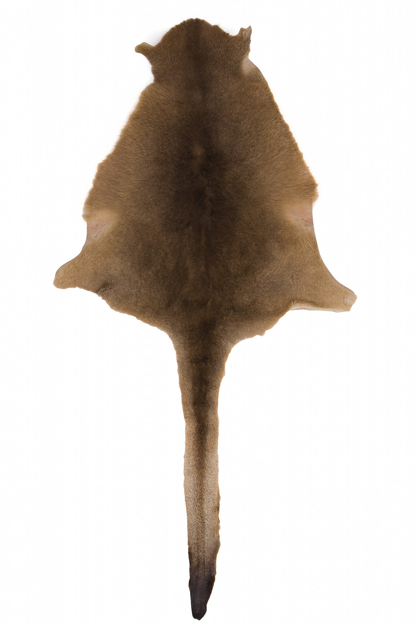 Australian Kangaroo Skins, From Small to Super Large Skinnys