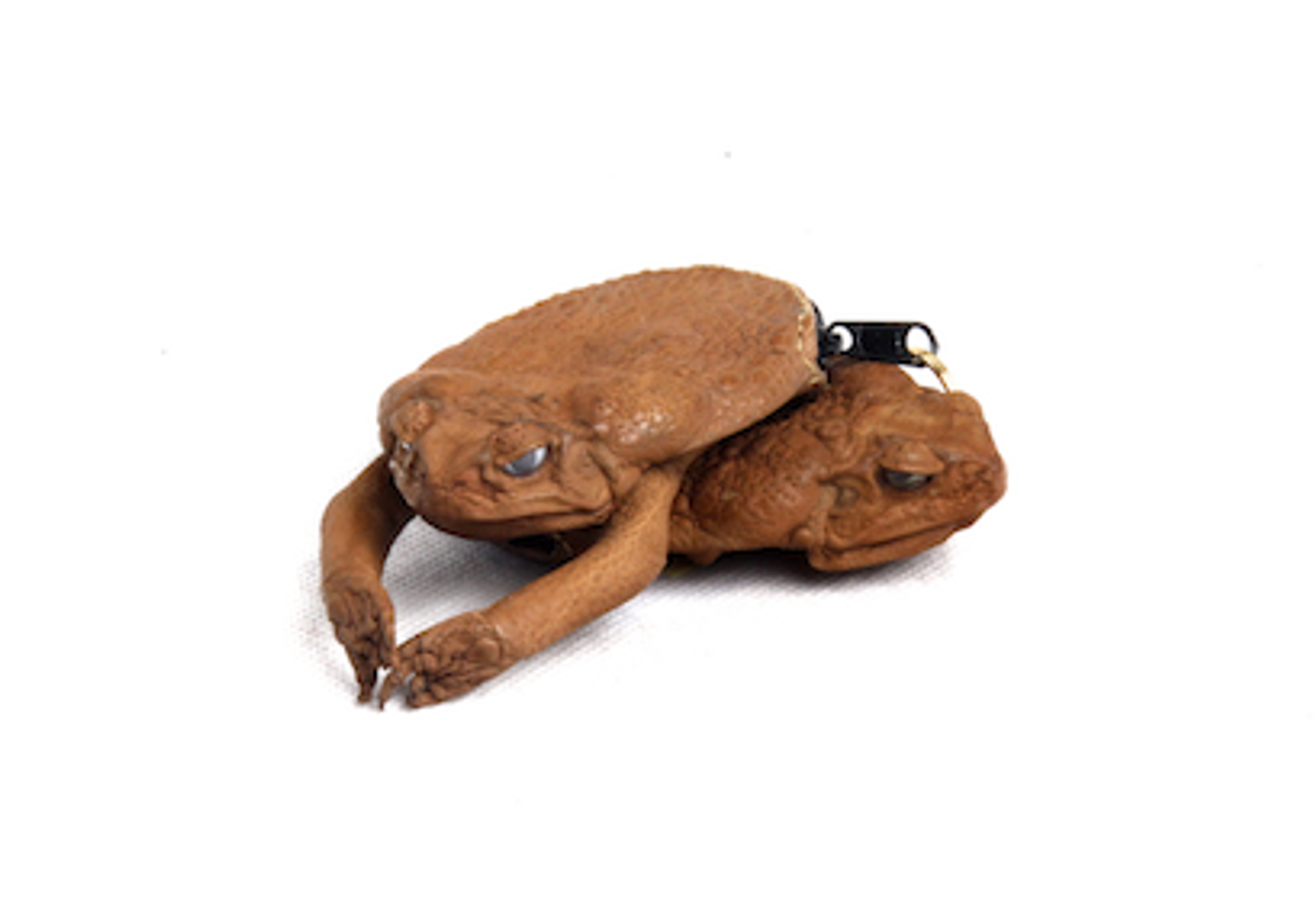 cane toad purse and shoulder bag, vintage | eBay