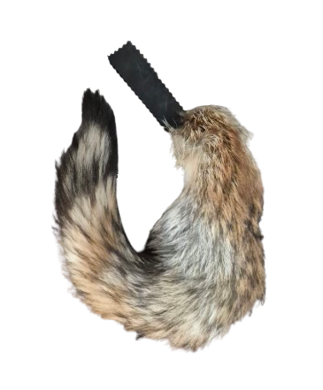 Fox Tails