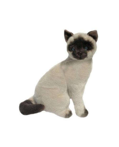 "Noodles" Siamese Cat 20cm Sitting