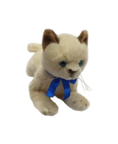 "Bamboo" Siamese Kitten 22cm Floppy, Cream