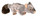 Ringtail Possum 30cm