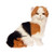 "Alfio" Calico Cat 34cm Sitting, Black, White & Tan