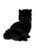 "Crystal" Cat 34cm Sitting, Black