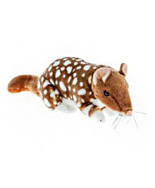 "Dotti" Eastern Quoll 30cm, Fawn