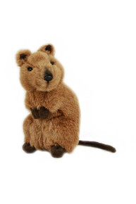 "Edward" Quokka 8" Standing