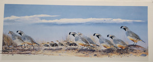 Quails by Cooper (6x15)