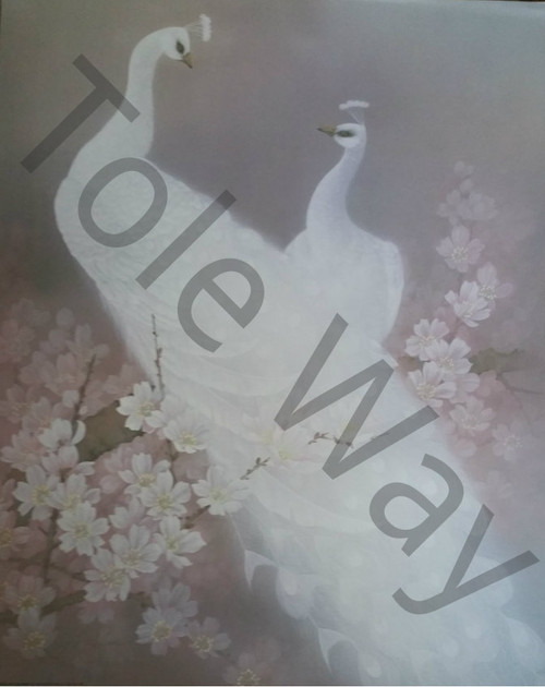 White Peacocks with pink flowers (16x20)