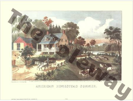 American Homestead Summer (16x20)(image 10.5x16.5)