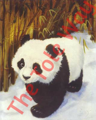 Panda Bear (8x10)