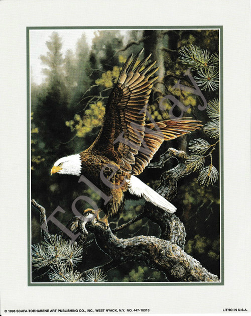 Eagle 2 (8x10)