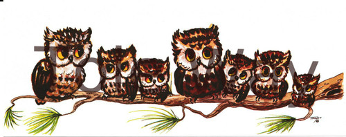 7 Owls (4x10)