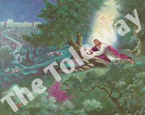 Jesus Contemplation (8x10)